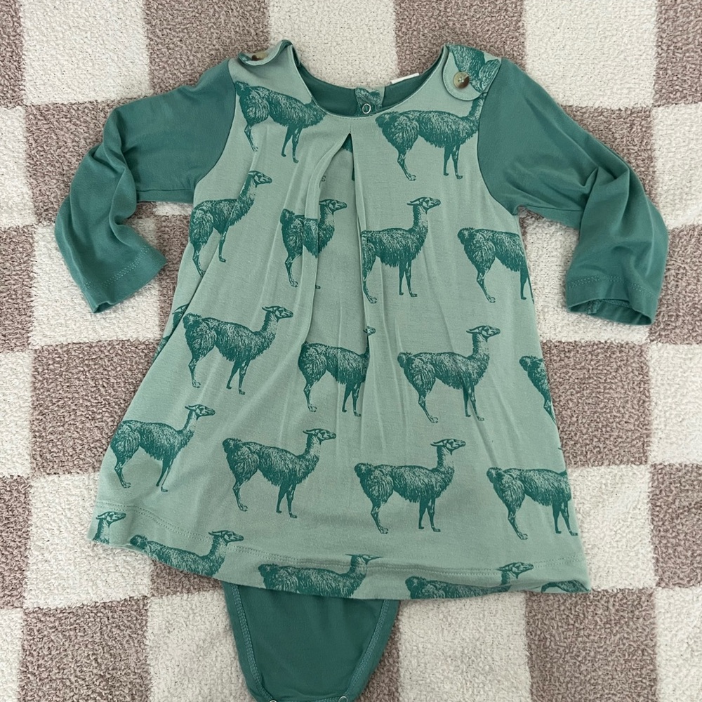 BOGO 🎊 Kate Quinn Teal and Seafoam Green Llama Print Dress